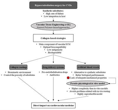 Collagen-Based Tissue Engineering Strategies for Vascular Medicine